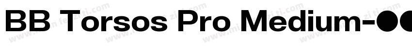 BB Torsos Pro Medium字体转换